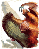 The Dimple Backed Vroxel