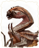 The Shallow Beaked Grogan
