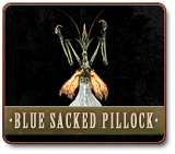 IMG BlueSackedPillock5