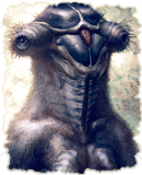 Jahukara Lowrg