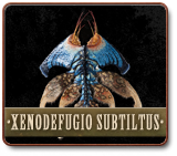 IMG XenodefugioSubtiltus